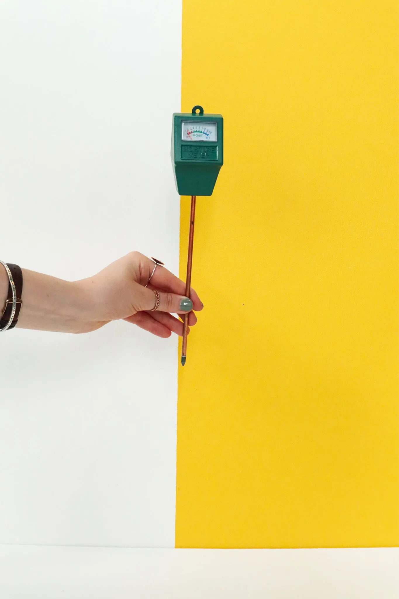 Moisture Meter