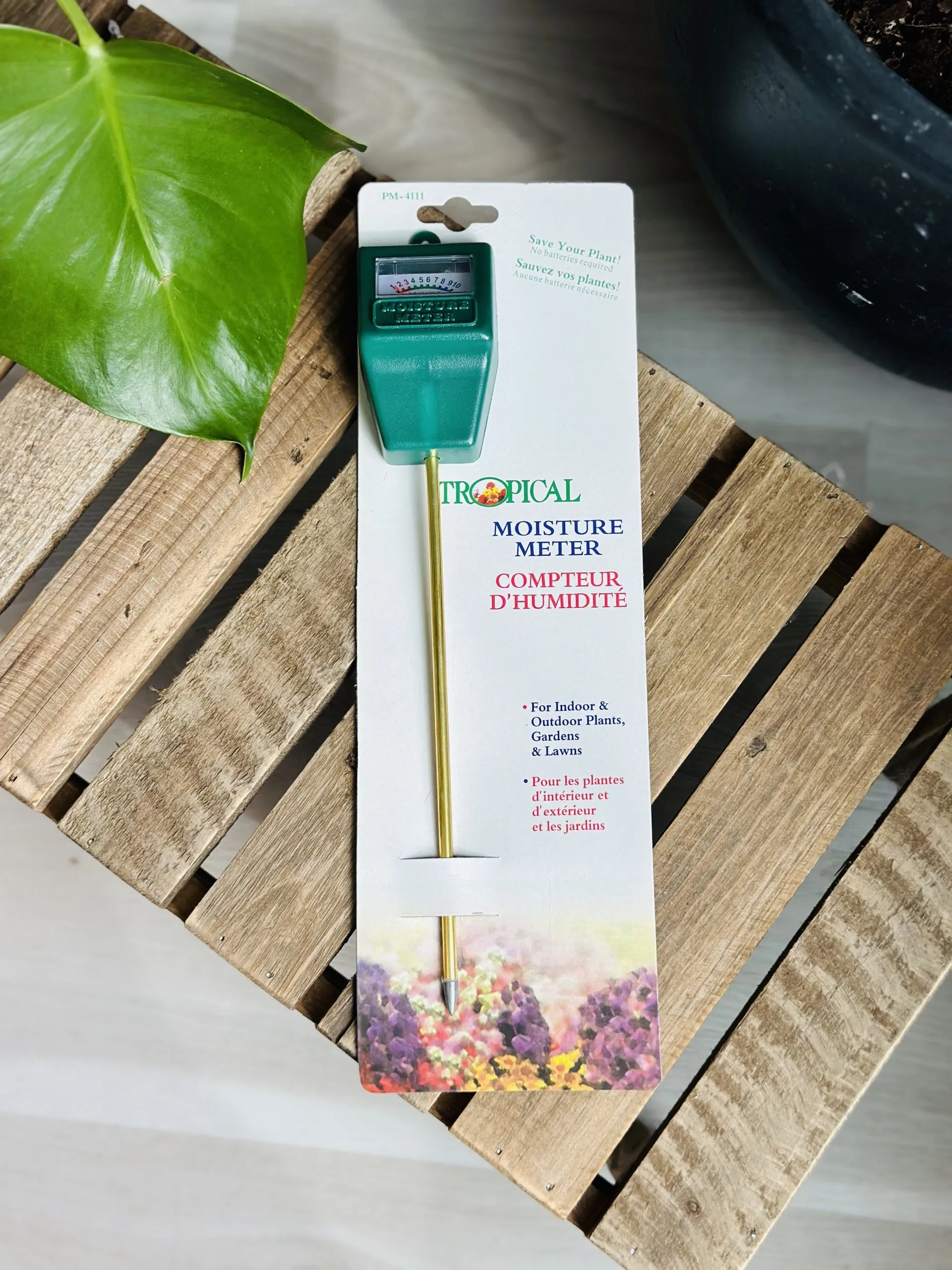 Tropical Moisture Meter